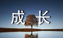 新手客服如何在電商行業(yè)快速成長