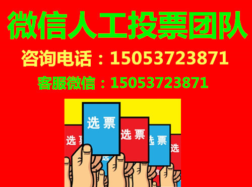微信投票團隊