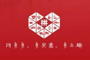 拼多多店鋪領(lǐng)航員