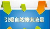 淘寶自然流量的優(yōu)化最關(guān)鍵的手段就是寶貝關(guān)鍵詞的SEO優(yōu)化