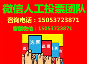 微信投票團隊怎么收費？專業(yè)微信投票多少錢一票